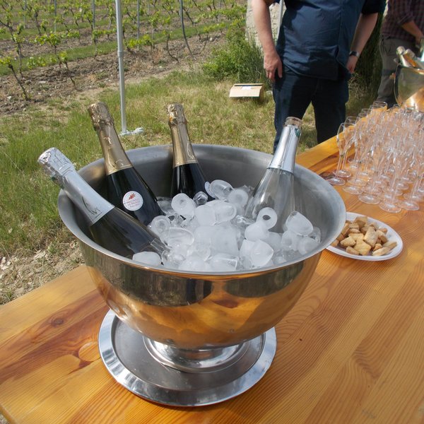 Balade / dégustation dans le vignoble de Vercheny DSCN0205.JPG